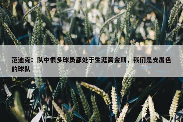 范迪克：队中很多球员都处于生涯黄金期，我们是支出色的球队