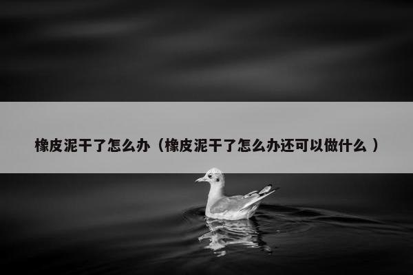 橡皮泥干了怎么办（橡皮泥干了怎么办还可以做什么 ）