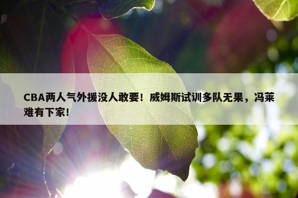 CBA两人气外援没人敢要！威姆斯试训多队无果，冯莱难有下家！