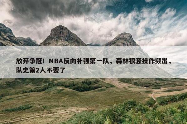 放弃争冠！NBA反向补强第一队，森林狼骚操作频出，队史第2人不要了