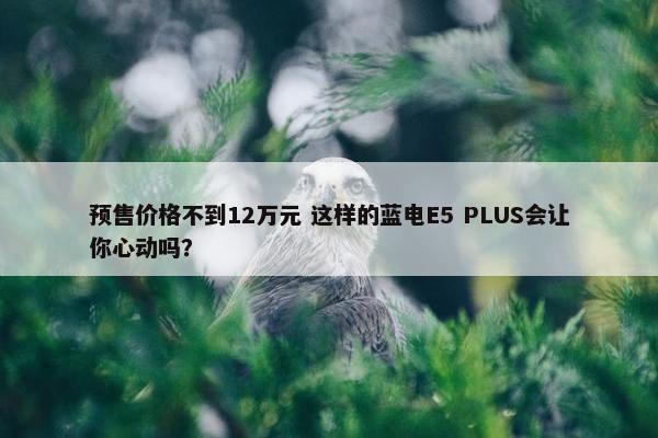 预售价格不到12万元 这样的蓝电E5 PLUS会让你心动吗？