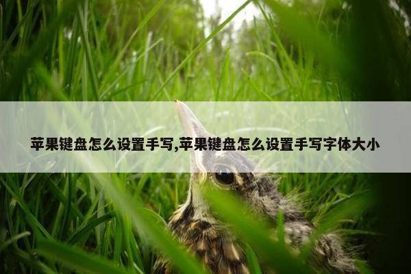 苹果键盘怎么设置手写,苹果键盘怎么设置手写字体大小