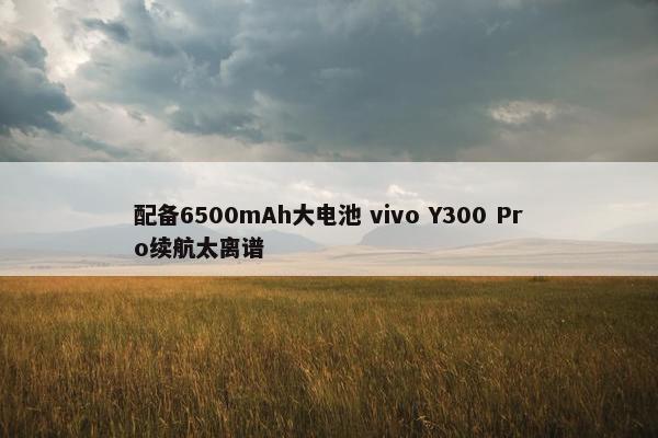 配备6500mAh大电池 vivo Y300 Pro续航太离谱