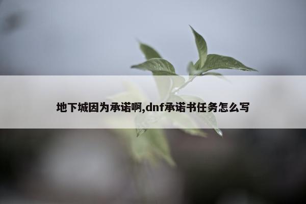 地下城因为承诺啊,dnf承诺书任务怎么写