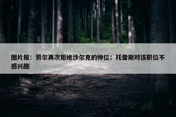 图片报：劳尔再次拒绝沙尔克的帅位；托雷斯对该职位不感兴趣