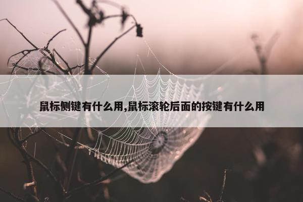 鼠标侧键有什么用,鼠标滚轮后面的按键有什么用