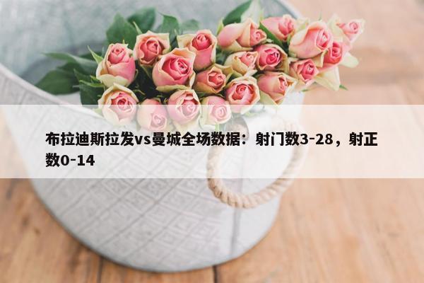 布拉迪斯拉发vs曼城全场数据：射门数3-28，射正数0-14