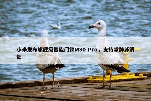 小米发布旗舰级智能门锁M30 Pro，支持掌静脉解锁