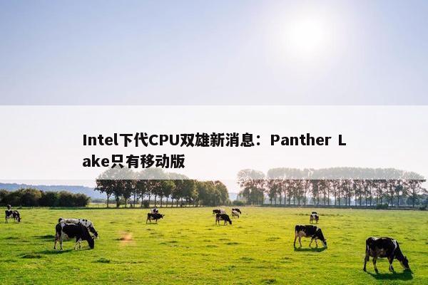 Intel下代CPU双雄新消息：Panther Lake只有移动版