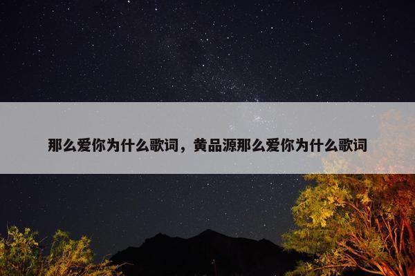 那么爱你为什么歌词，黄品源那么爱你为什么歌词