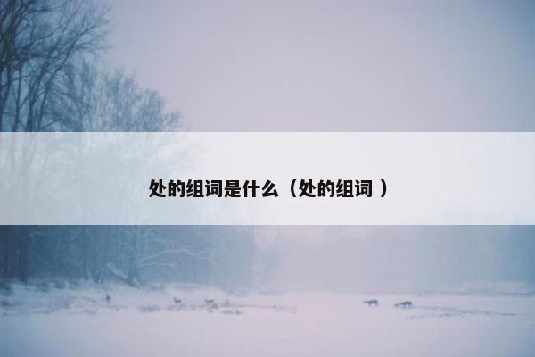 处的组词是什么（处的组词 ）