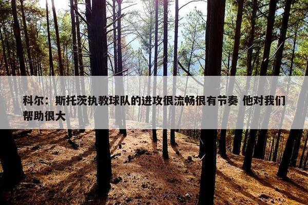 科尔：斯托茨执教球队的进攻很流畅很有节奏 他对我们帮助很大