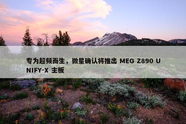 专为超频而生，微星确认将推出 MEG Z890 UNIFY-X 主板