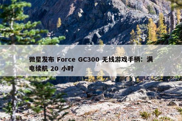 微星发布 Force GC300 无线游戏手柄：满电续航 20 小时