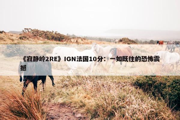 《寂静岭2RE》IGN法国10分：一如既往的恐怖震撼