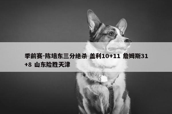 季前赛-陈培东三分绝杀 盖利10+11 詹姆斯31+8 山东险胜天津