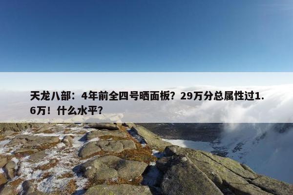 天龙八部：4年前全四号晒面板？29万分总属性过1.6万！什么水平？