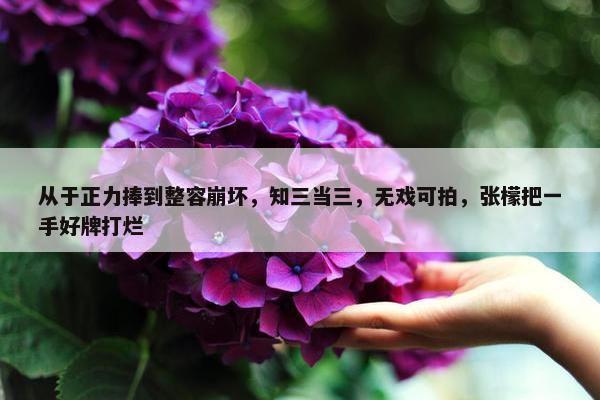 从于正力捧到整容崩坏，知三当三，无戏可拍，张檬把一手好牌打烂