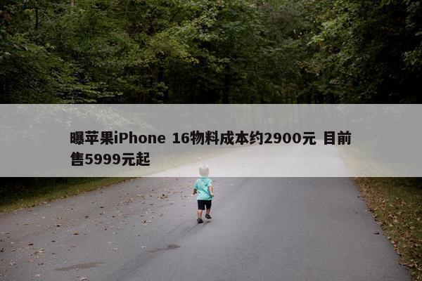 曝苹果iPhone 16物料成本约2900元 目前售5999元起