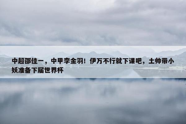 中超邵佳一，中甲李金羽！伊万不行就下课吧，土帅带小妖准备下届世界杯