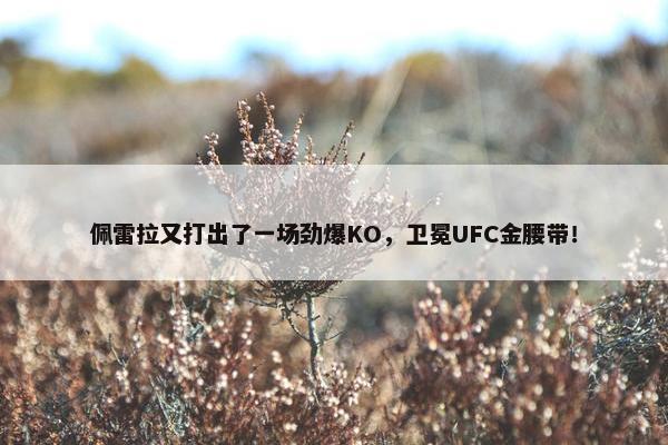 佩雷拉又打出了一场劲爆KO，卫冕UFC金腰带！