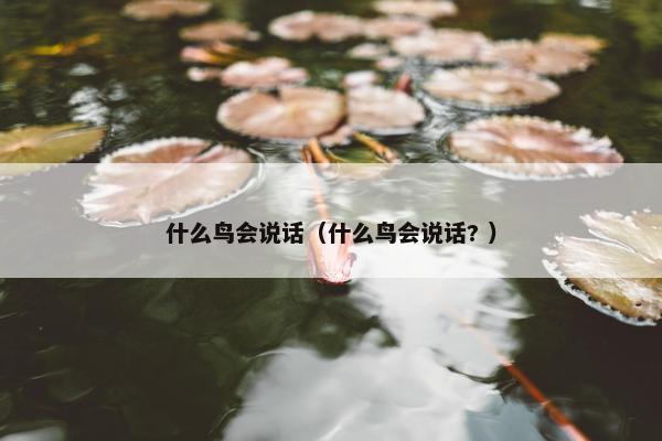 什么鸟会说话（什么鸟会说话? ）