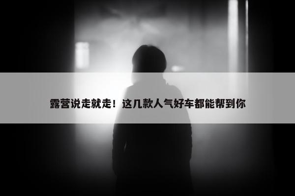 露营说走就走！这几款人气好车都能帮到你