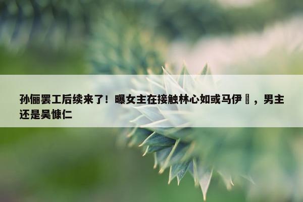 孙俪罢工后续来了！曝女主在接触林心如或马伊琍，男主还是吴慷仁