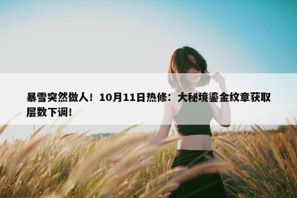 暴雪突然做人！10月11日热修：大秘境鎏金纹章获取层数下调！