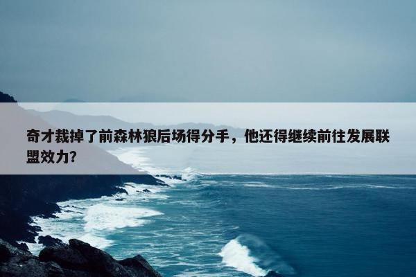 奇才裁掉了前森林狼后场得分手，他还得继续前往发展联盟效力？