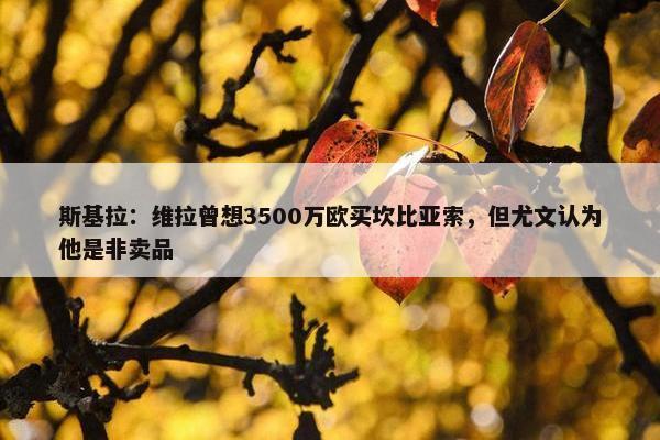 斯基拉：维拉曾想3500万欧买坎比亚索，但尤文认为他是非卖品