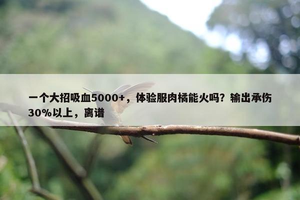 一个大招吸血5000+，体验服肉橘能火吗？输出承伤30%以上，离谱