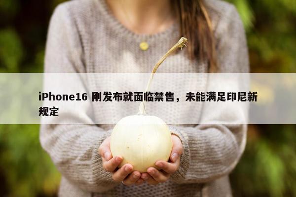 iPhone16 刚发布就面临禁售，未能满足印尼新规定