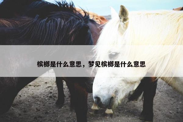 槟榔是什么意思，梦见槟榔是什么意思