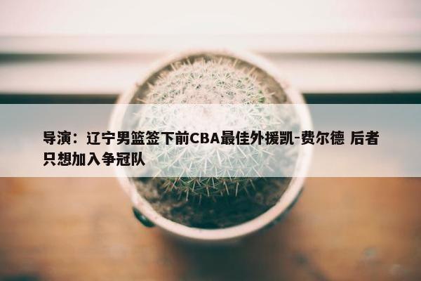 导演：辽宁男篮签下前CBA最佳外援凯-费尔德 后者只想加入争冠队