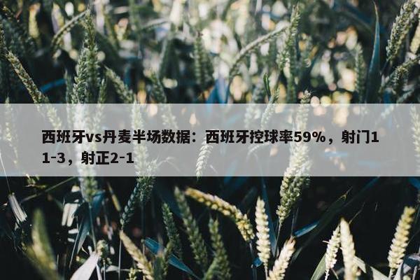 西班牙vs丹麦半场数据：西班牙控球率59%，射门11-3，射正2-1