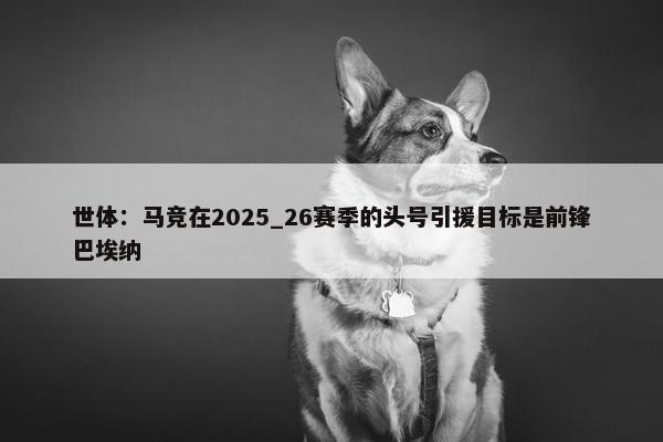 世体：马竞在2025_26赛季的头号引援目标是前锋巴埃纳