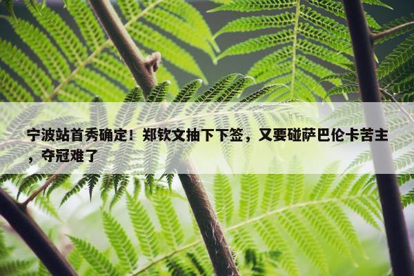 宁波站首秀确定！郑钦文抽下下签，又要碰萨巴伦卡苦主，夺冠难了