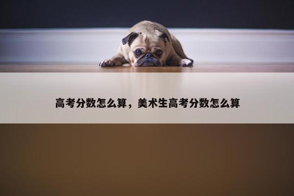 高考分数怎么算，美术生高考分数怎么算