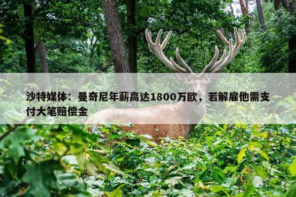 沙特媒体：曼奇尼年薪高达1800万欧，若解雇他需支付大笔赔偿金