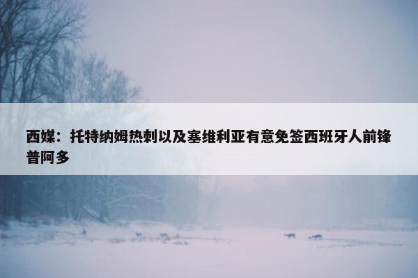 西媒：托特纳姆热刺以及塞维利亚有意免签西班牙人前锋普阿多