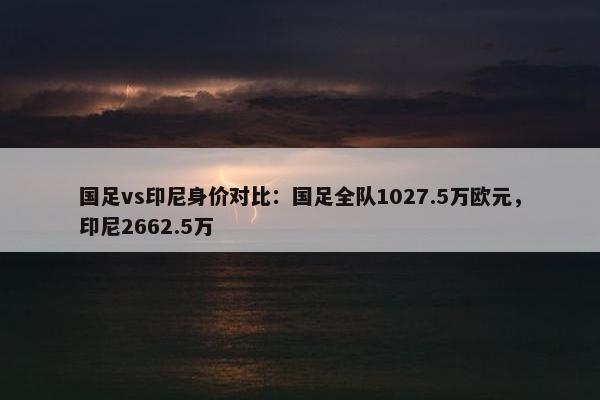 国足vs印尼身价对比：国足全队1027.5万欧元，印尼2662.5万