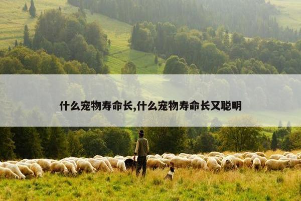 什么宠物寿命长,什么宠物寿命长又聪明