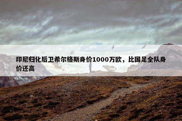 印尼归化后卫希尔格斯身价1000万欧，比国足全队身价还高