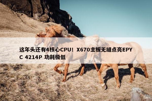 这年头还有4核心CPU！X670主板无缝点亮EPYC 4214P 功耗极低