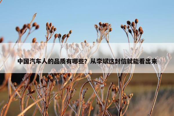 中国汽车人的品质有哪些？从李斌这封信就能看出来