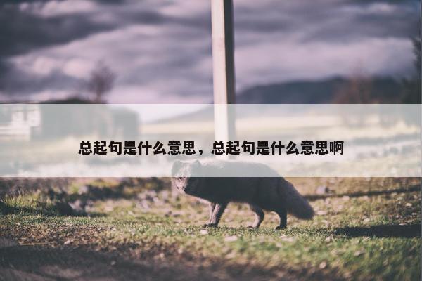 总起句是什么意思，总起句是什么意思啊