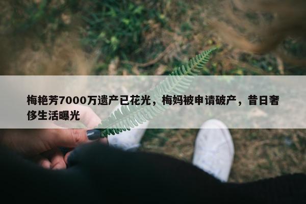 梅艳芳7000万遗产已花光，梅妈被申请破产，昔日奢侈生活曝光