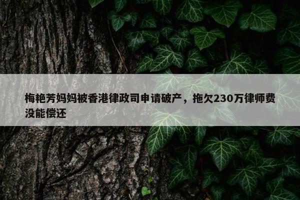 梅艳芳妈妈被香港律政司申请破产，拖欠230万律师费没能偿还