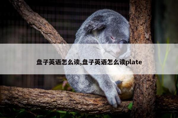 盘子英语怎么读,盘子英语怎么读plate